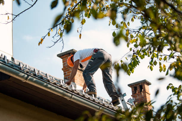 Best Storm Damage Roof Repair  in New Madison, OH