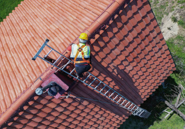 Best Roof Moss and Algae Removal  in New Madison, OH